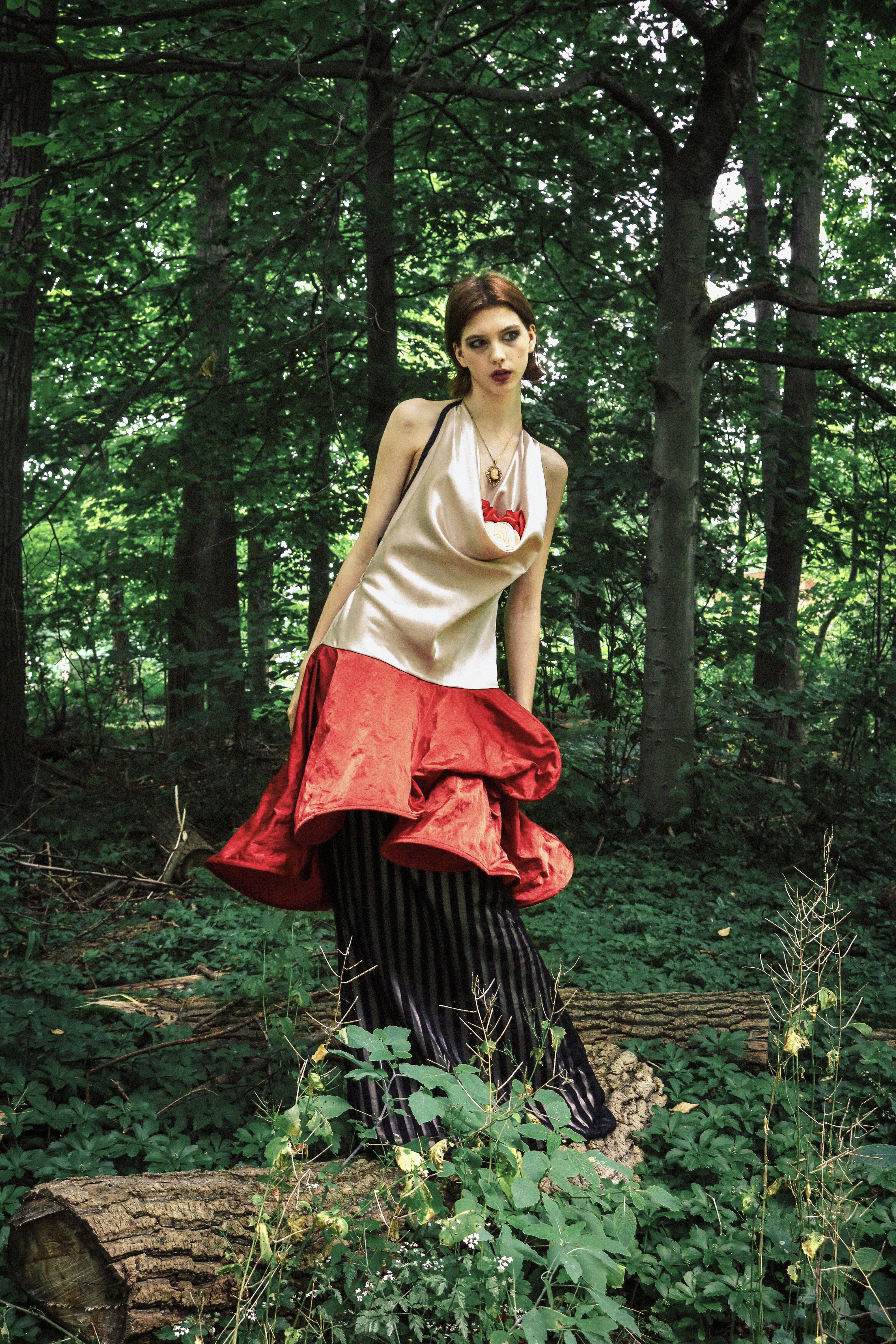 A Conversation with A Rose